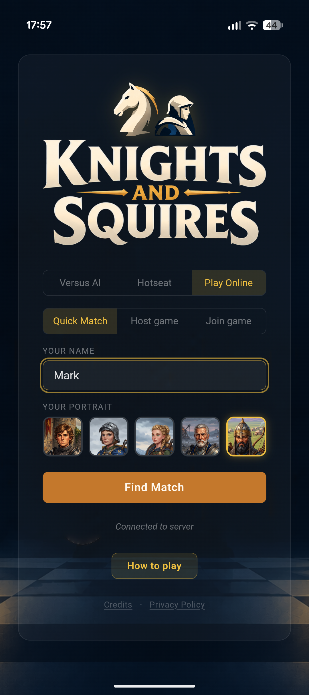 The lobby screen on the mobile app, ready to find a match